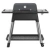 Everdure By Heston Blumenthal FORCE 2 Burner BBQ With Stand