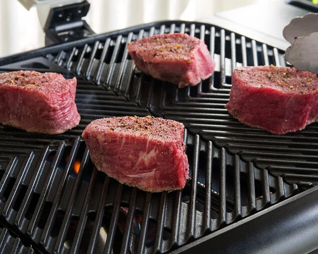 Everdure By Heston Blumenthal FORCE 2 Burner BBQ With Stand - Image 6