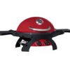 Ziggy Classic Twin Grill LPG BBQ