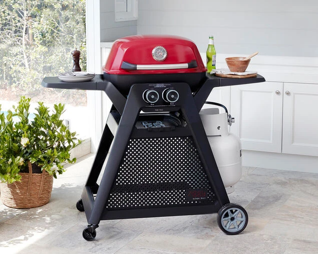 Ziggy Elite Twin Grill LPG BBQ On Cart - Image 4