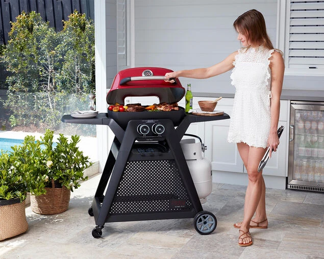 Ziggy Elite Twin Grill LPG BBQ On Cart - Image 10