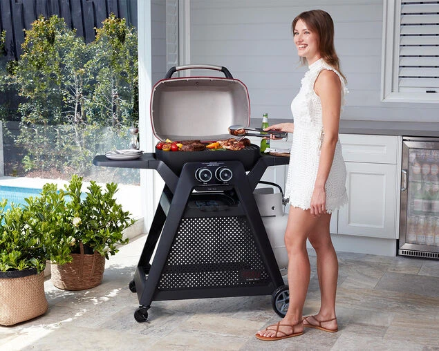 Ziggy Elite Twin Grill LPG BBQ On Cart - Image 8