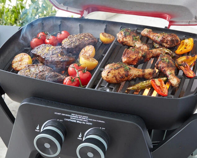 Ziggy Elite Twin Grill LPG BBQ - Image 5